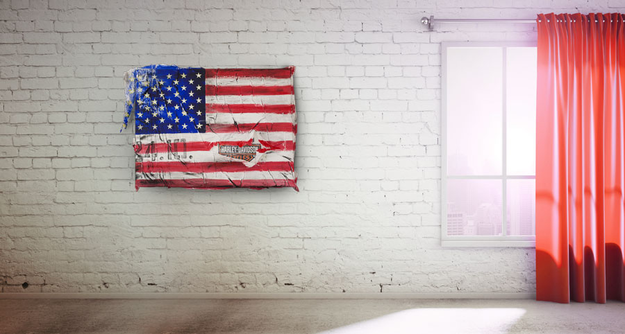 The USA Rider – Bild 7