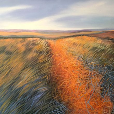 Wandering through the Fields