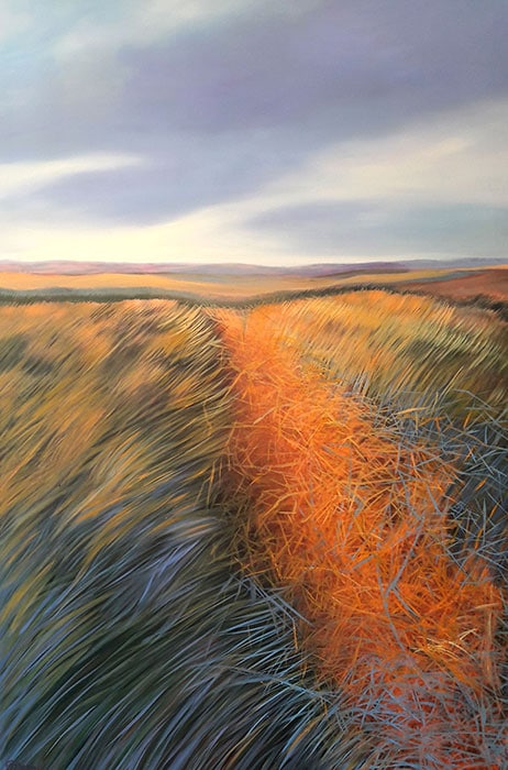 Wandering through the Fields