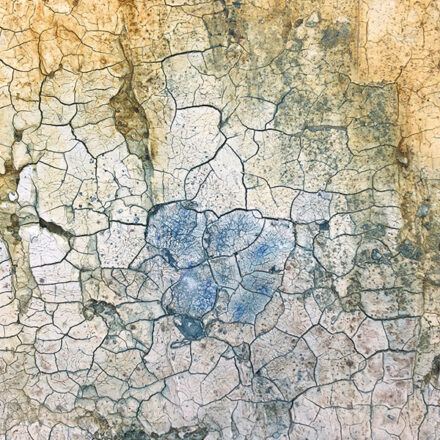 Zurück zur Natur II