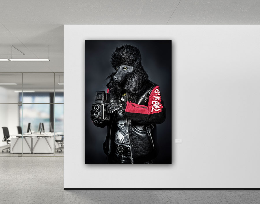 Poodle Camera – Bild 4