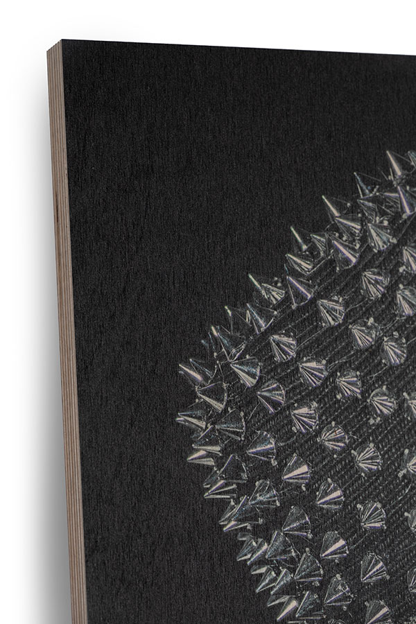 Smoking Poodle – Bild 4