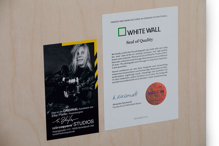 Smoking Poodle – Bild 2