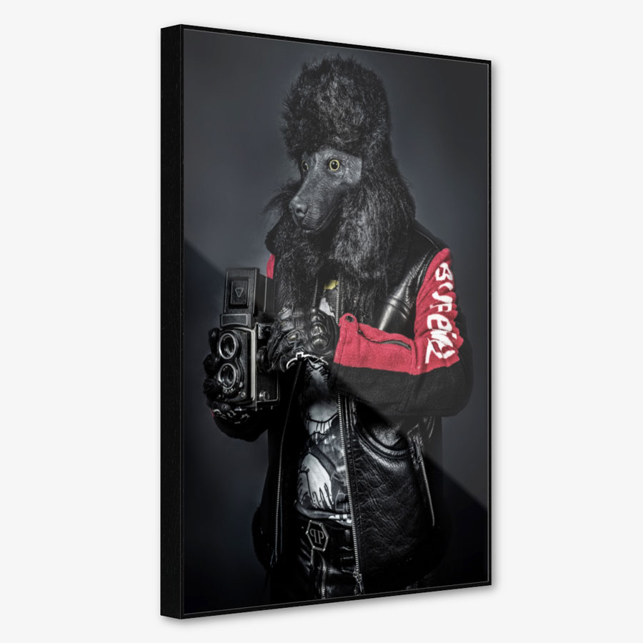 Poodle Camera – Bild 2