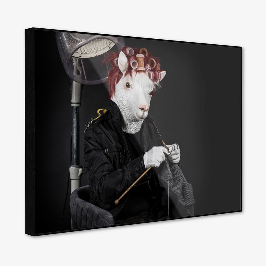 Strick Lama – Bild 2