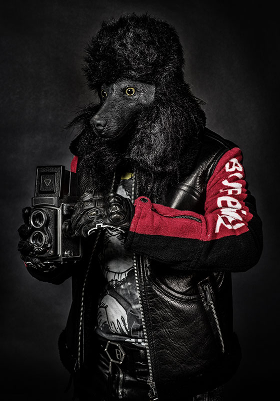 Poodle Camera – Bild 3